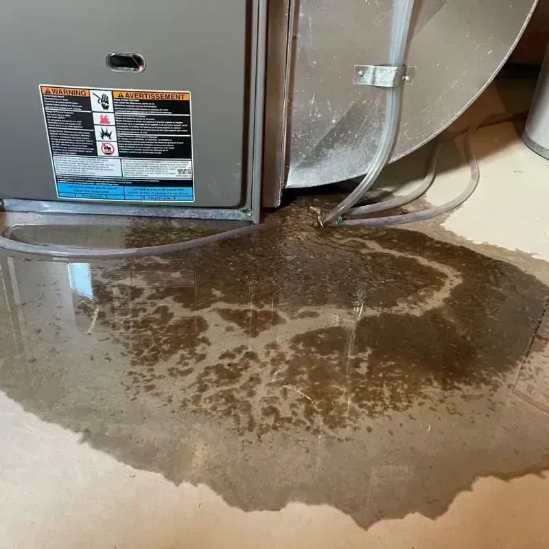 Appliance Leak Cleanup in Geneva, IL